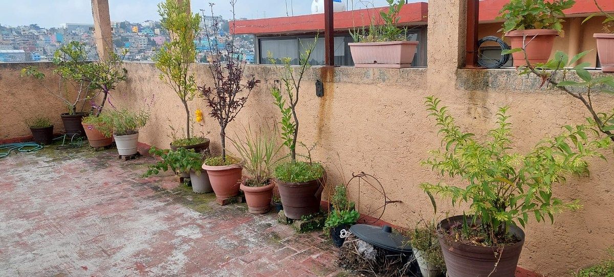 Apartamento em Estado de Hidalgo, Álvaro Obregón, foto 19 de 21