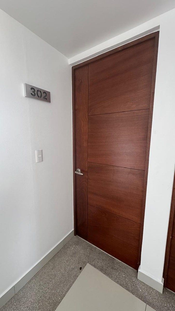 PUERTA DE ENTRADA DEL DEPARTAMENTO, foto 3 de 10