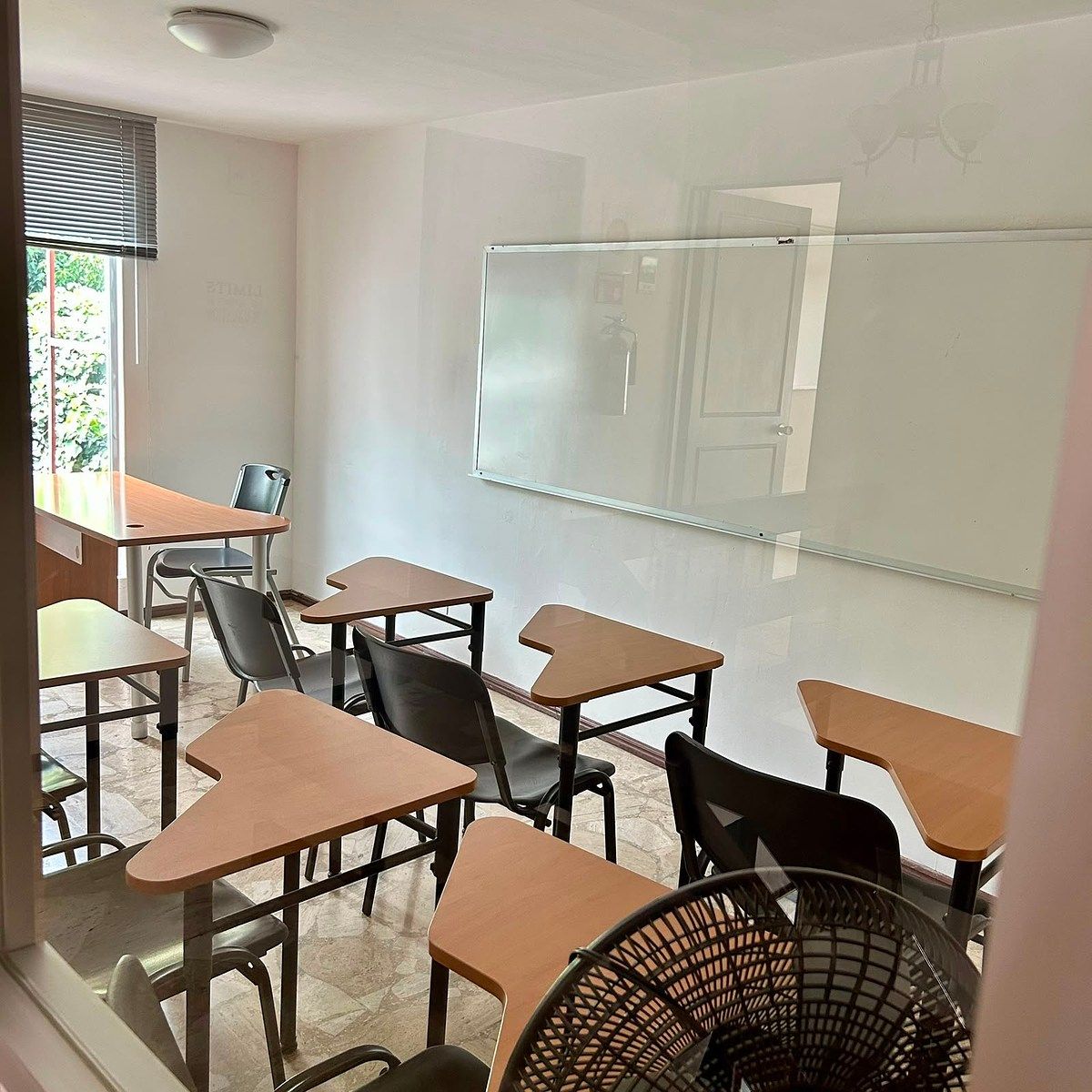 Retail Space in Olivar de los Padres, Álvaro Obregón, photo 19 of 32