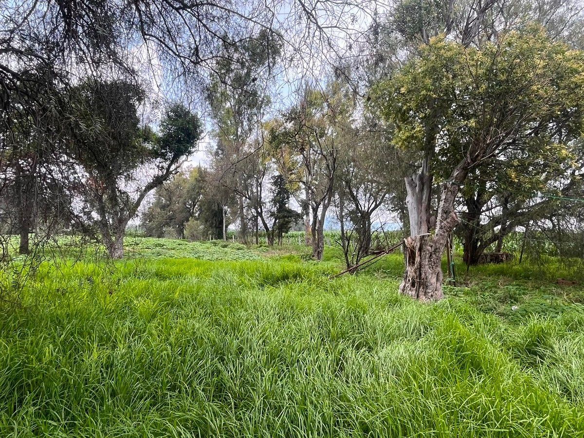 Lot in San Marcos, Zumpango, photo 9 of 11