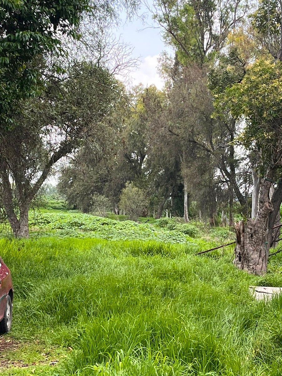 Lot in San Marcos, Zumpango, photo 11 of 11