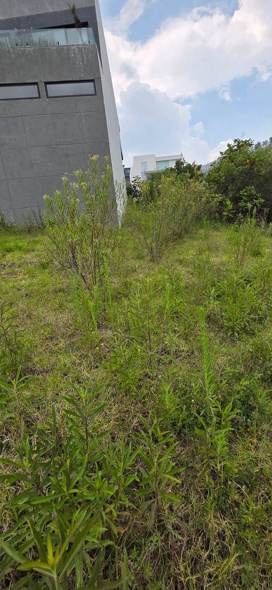 Terreno en Bosque Real, Huixquilucan, foto 14 de 30