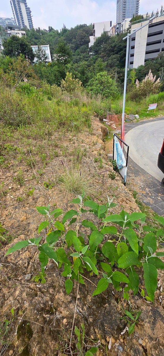 Terreno en Bosque Real, Huixquilucan, foto 19 de 30