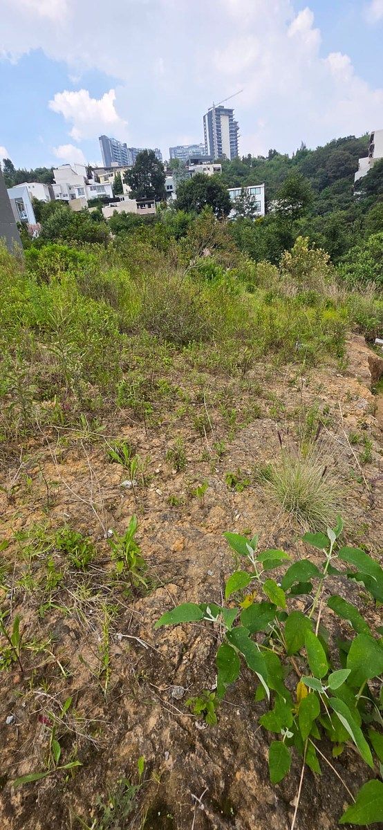 Terreno en Bosque Real, Huixquilucan, foto 23 de 30