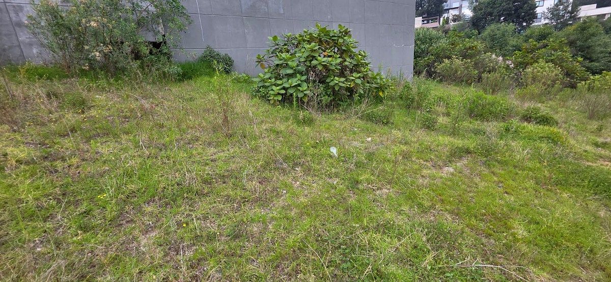 Terreno en Bosque Real, Huixquilucan, foto 24 de 30