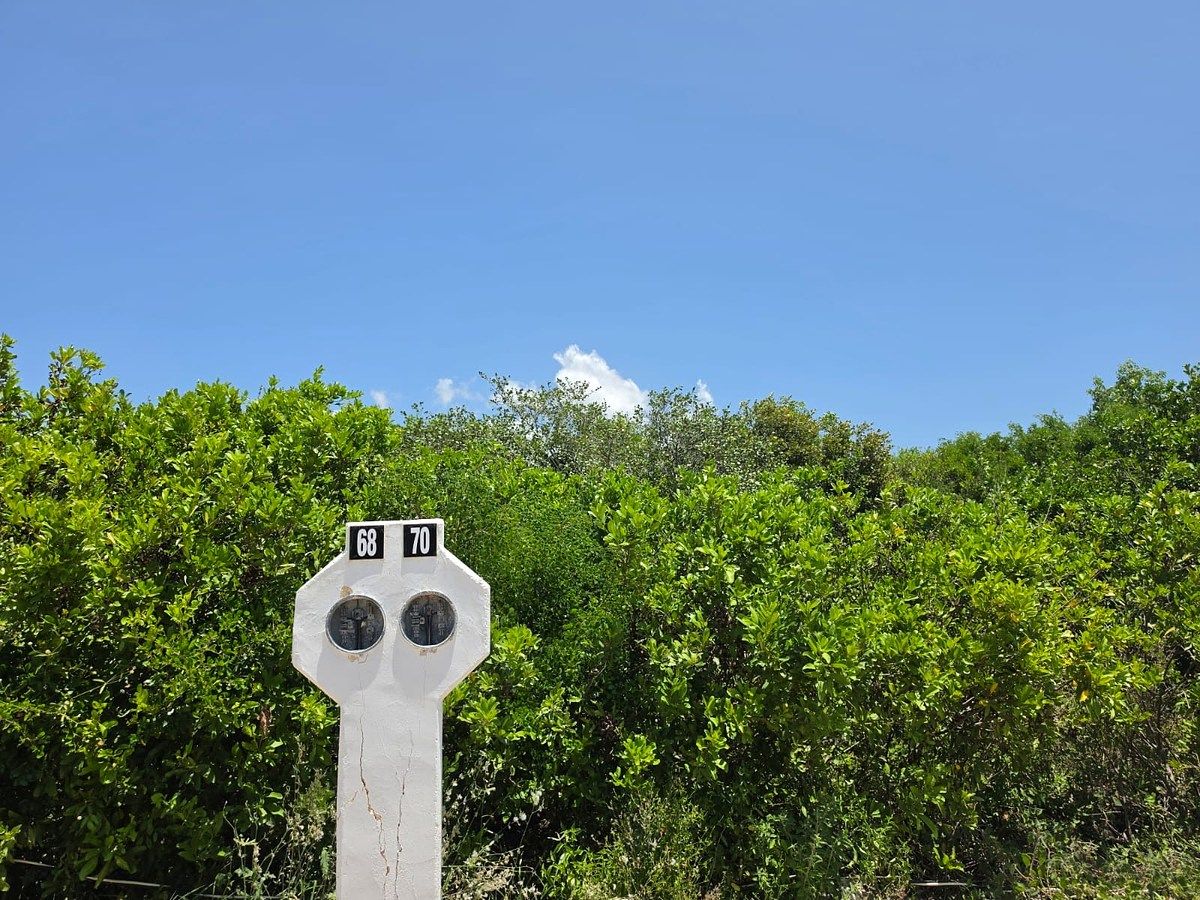 Terreno en Sisal, Hunucmá, foto 18 de 19
