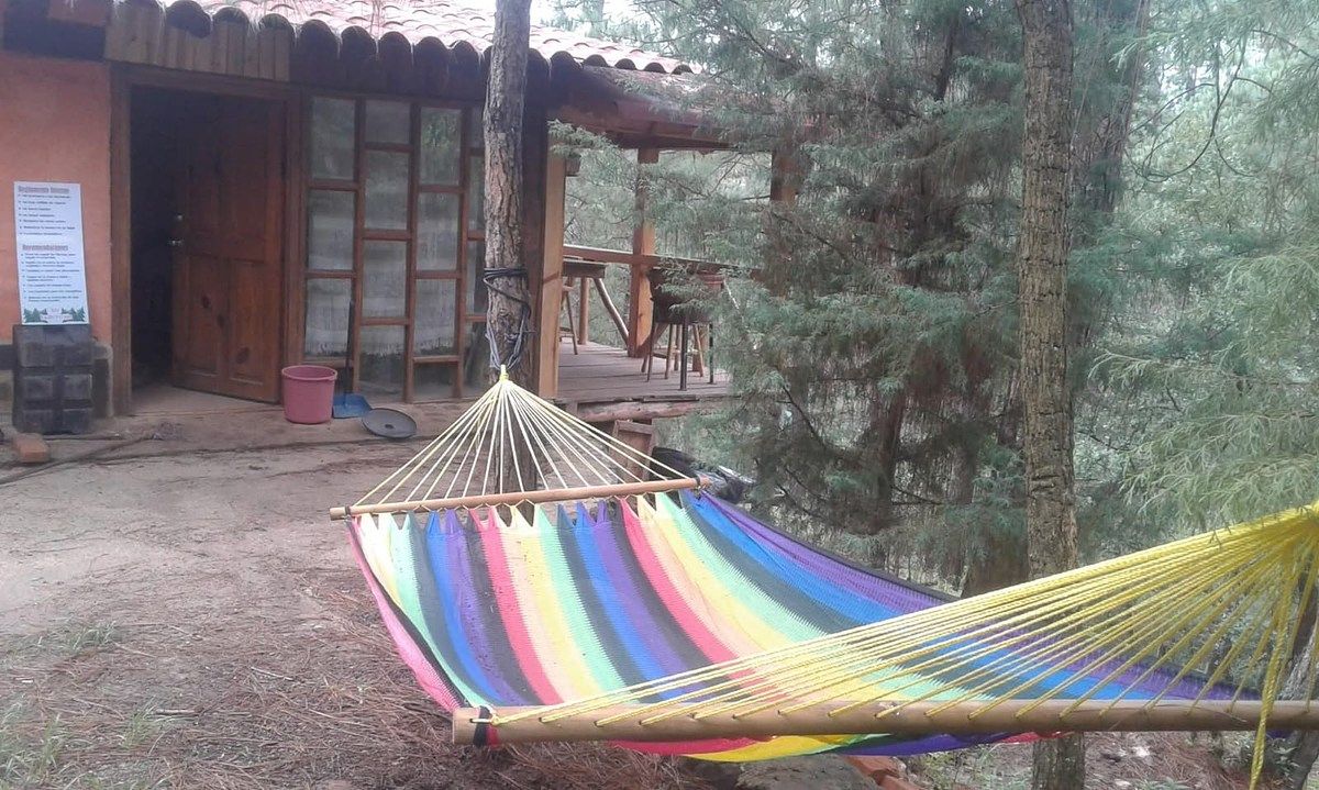 Terreno en Epenche Grande, Mazamitla, foto 6 de 11