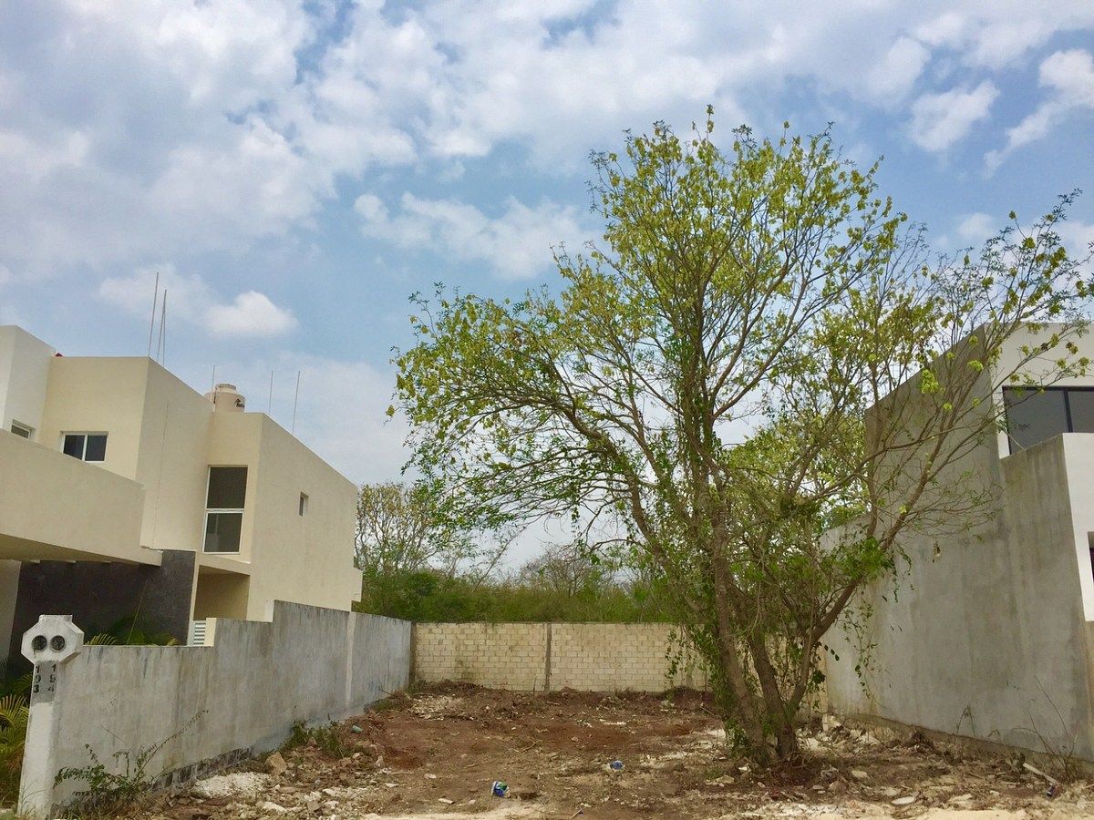 Terreno en México, Mérida, foto 3 de 3