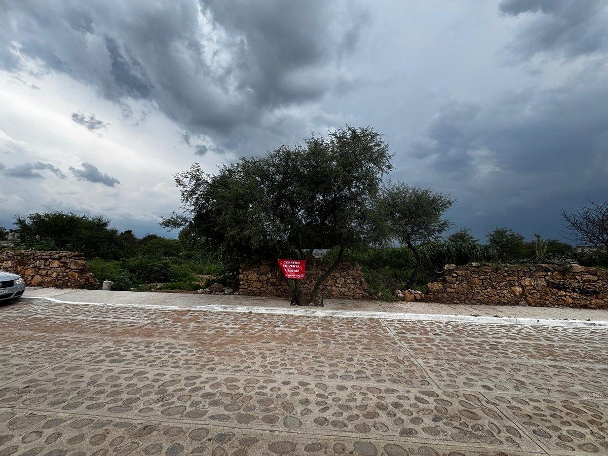FRENTE, foto 1 de 6