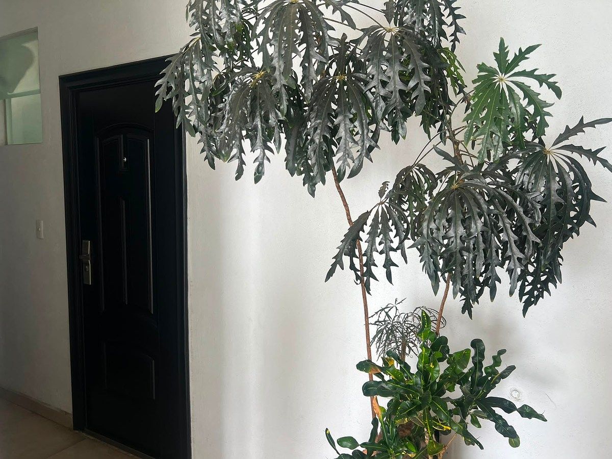 Apartment in Cañadas de San Lorenzo, Zapopan, photo 31 of 32