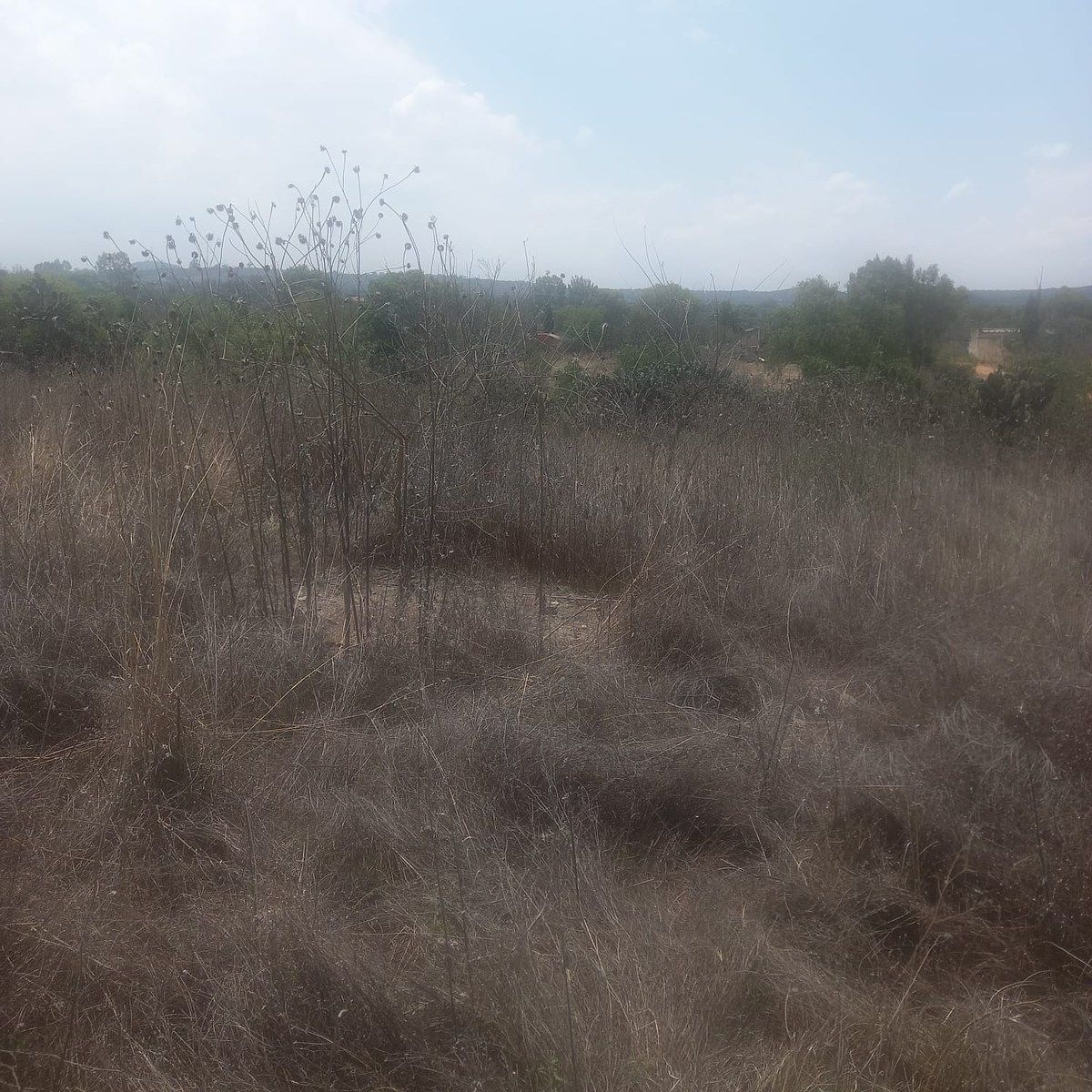 Lote em San Sebastián Tenochtitlán, Nopala de Villagrán, foto 3 de 6