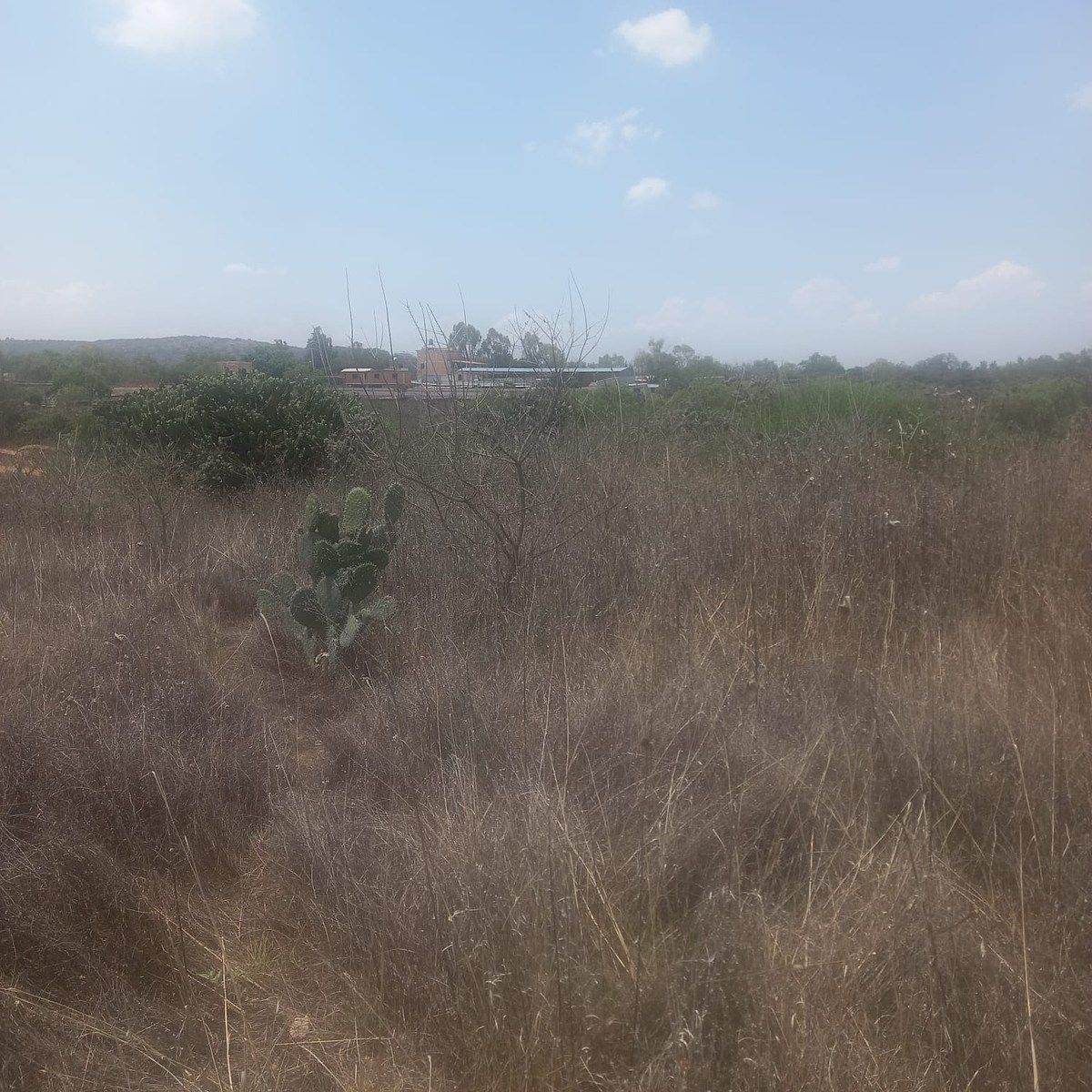 Lote em San Sebastián Tenochtitlán, Nopala de Villagrán, foto 4 de 6