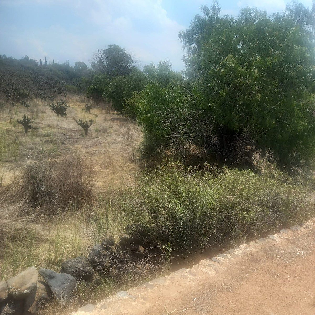 Lote em San Sebastián Tenochtitlán, Nopala de Villagrán, foto 6 de 6