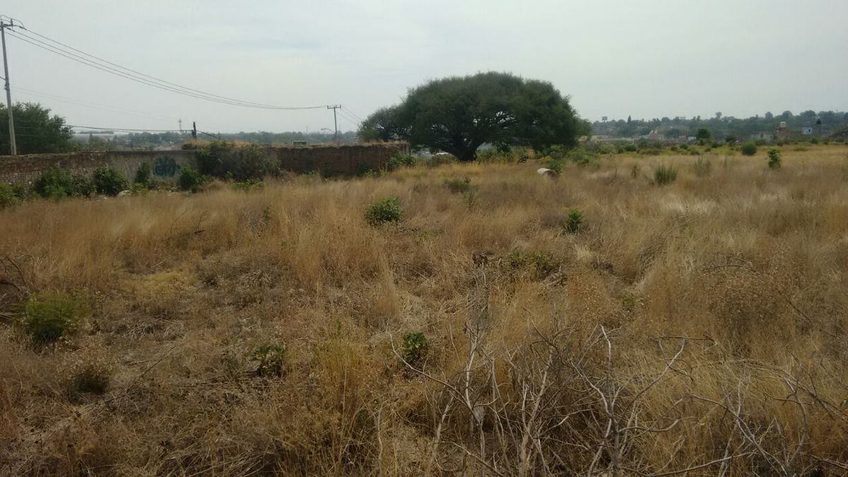 Lote em Jalisco 1a. Sección, Tonalá, foto 9 de 13