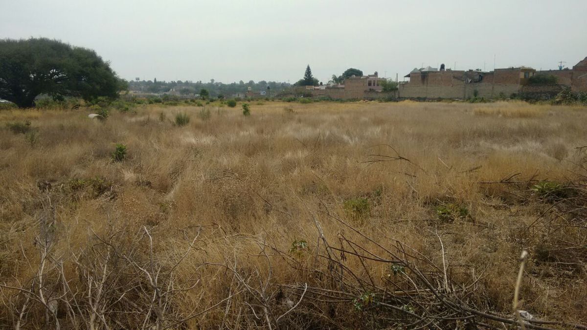 Terreno en Jalisco 1a. Sección, Tonalá, foto 5 de 13