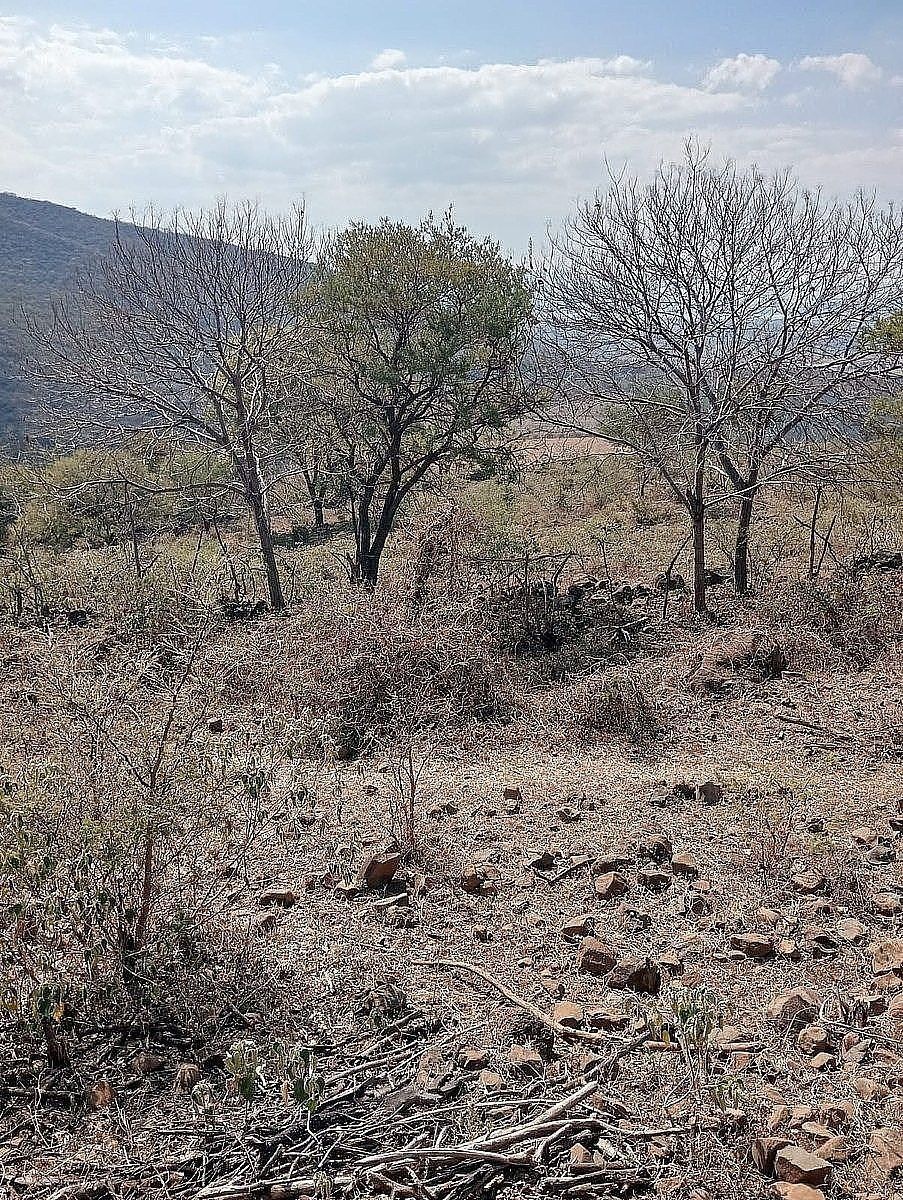 Terreno industrial en Acatlán de Juárez Centro, Acatlán de Juárez, foto 17 de 27