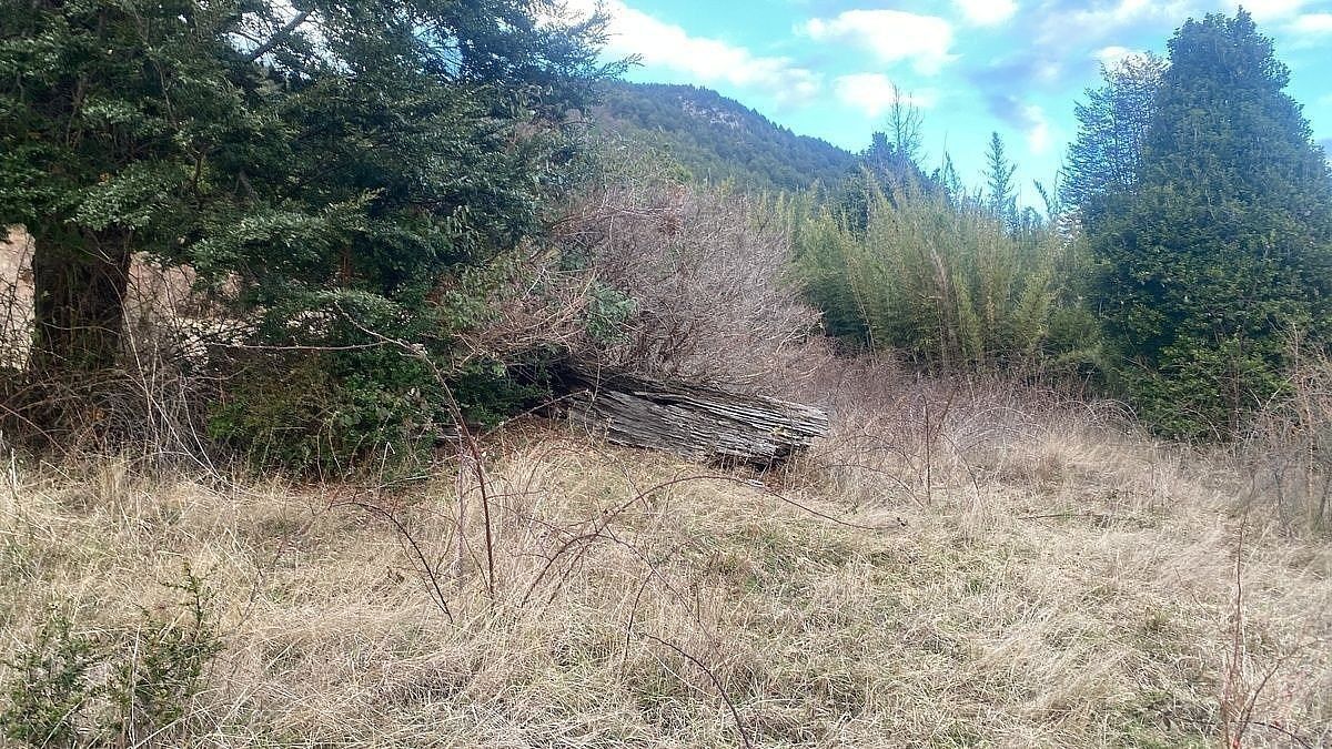 Sitio colindante al Parque Nacional Huerquehue, foto 1 de 12
