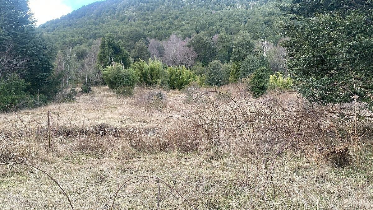 Sitios en Huife, Pucón, foto 4 de 12