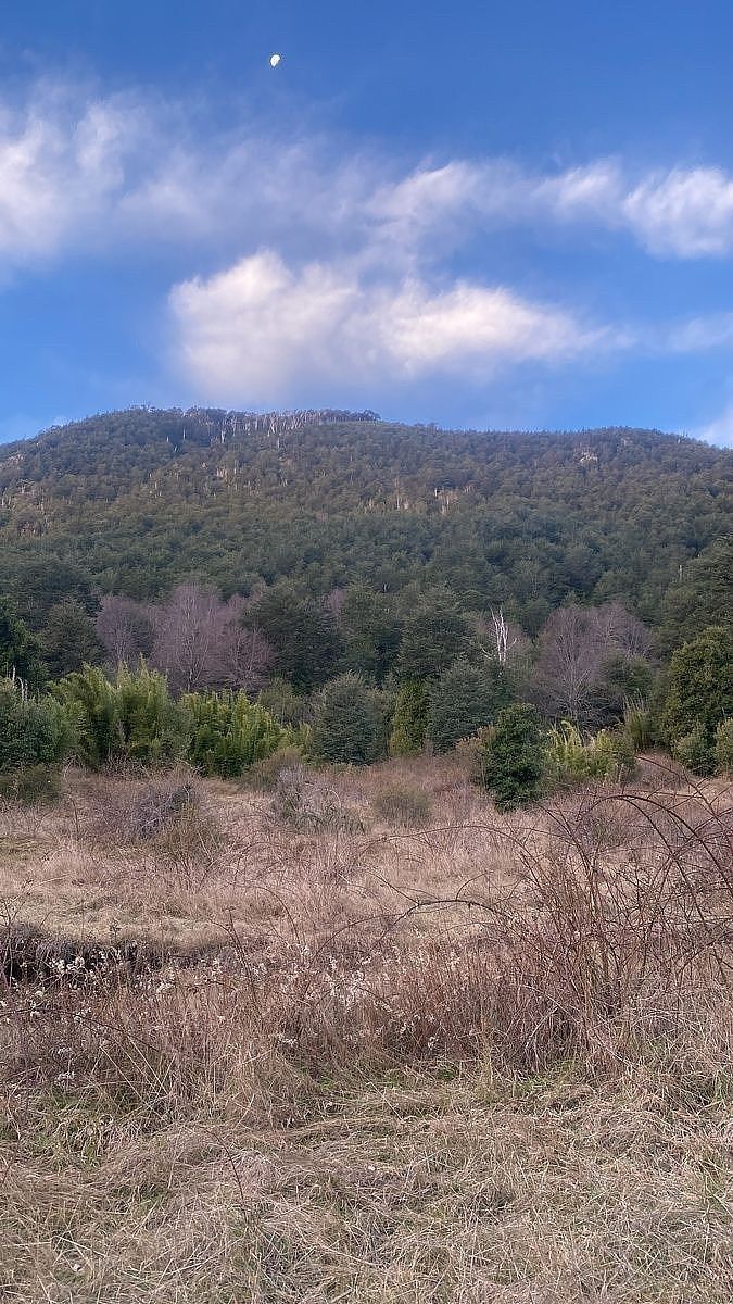 Sitios en Huife, Pucón, foto 10 de 12
