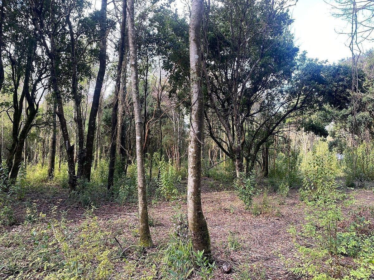 Sitios en Jardines del Claro, Pucón, foto 4 de 15