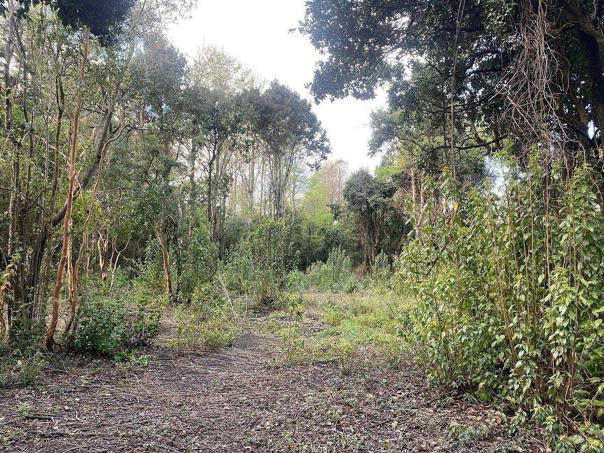 Sitios en Jardines del Claro, Pucón, foto 7 de 15