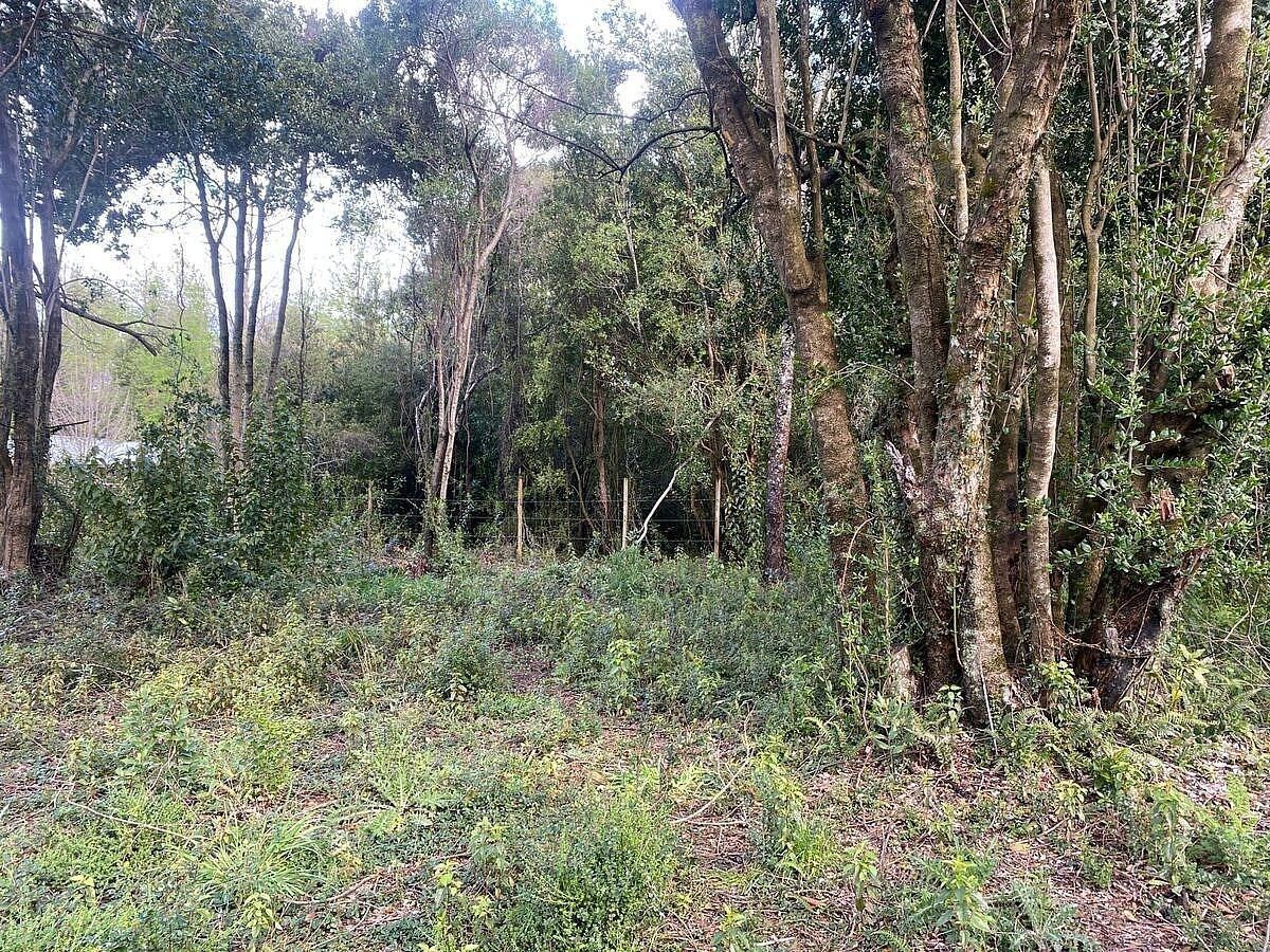 Sitios en Jardines del Claro, Pucón, foto 11 de 15
