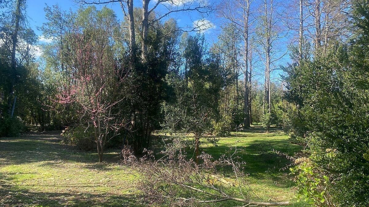 Casa en Condominio Puertas del Bosque, Villarrica, foto 38 de 41