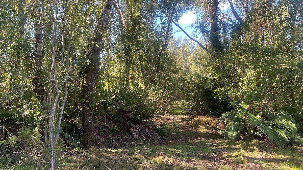 Casa en Condominio Puertas del Bosque, Villarrica, foto 41 de 41