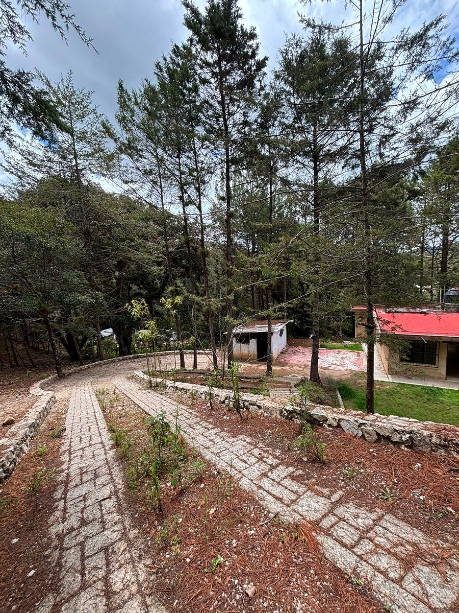 TERRENOS EN VENTA ALCANFORES, foto 1 de 7