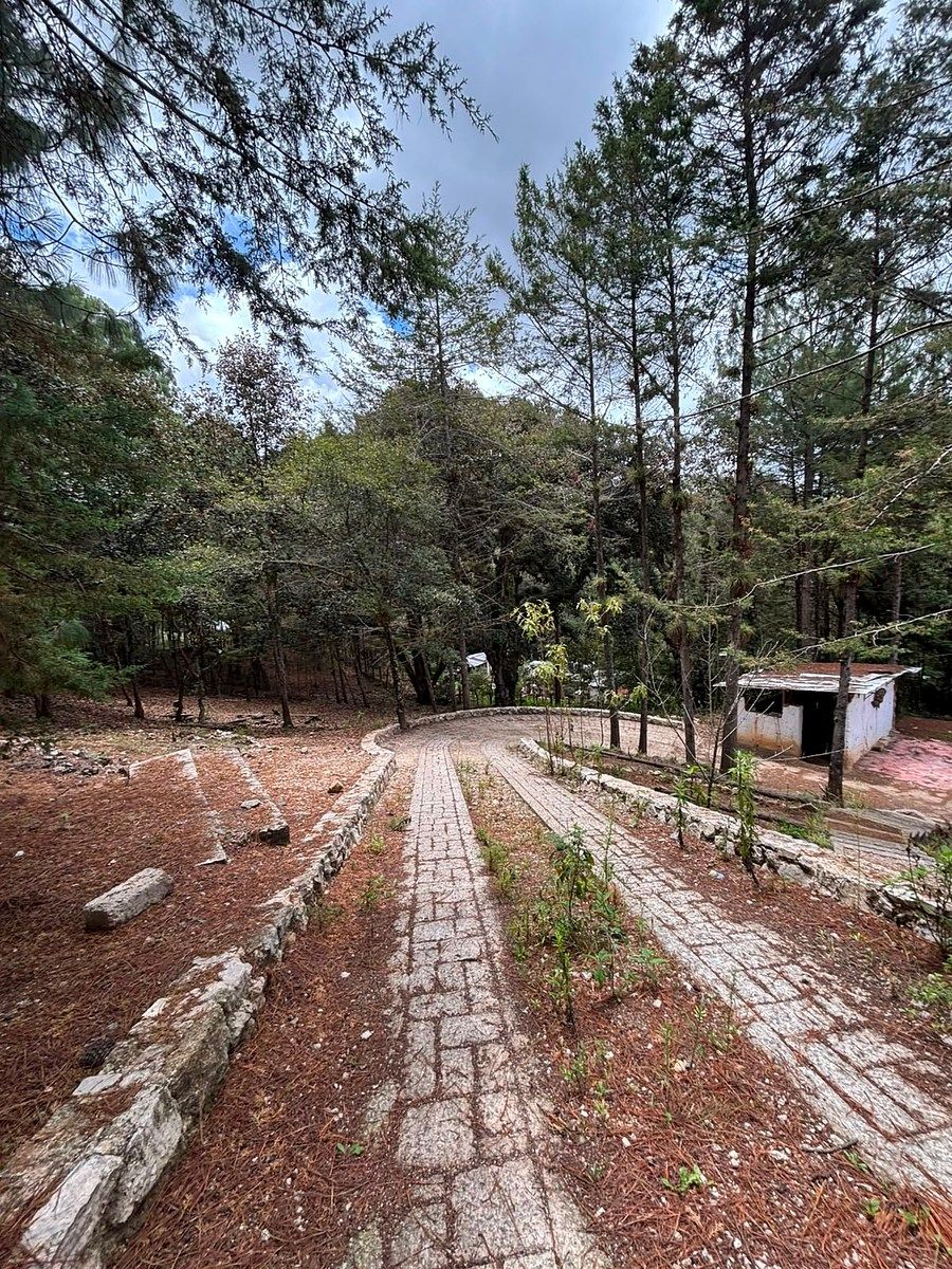 Terreno en Los Alcanfores, San Cristóbal de Las Casas, foto 3 de 7