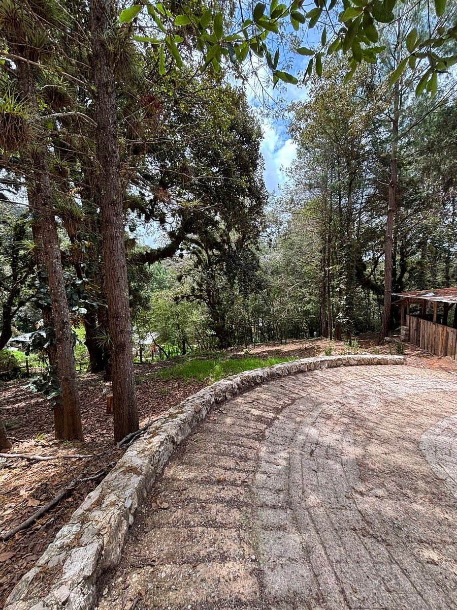 Terreno en Los Alcanfores, San Cristóbal de Las Casas, foto 4 de 7