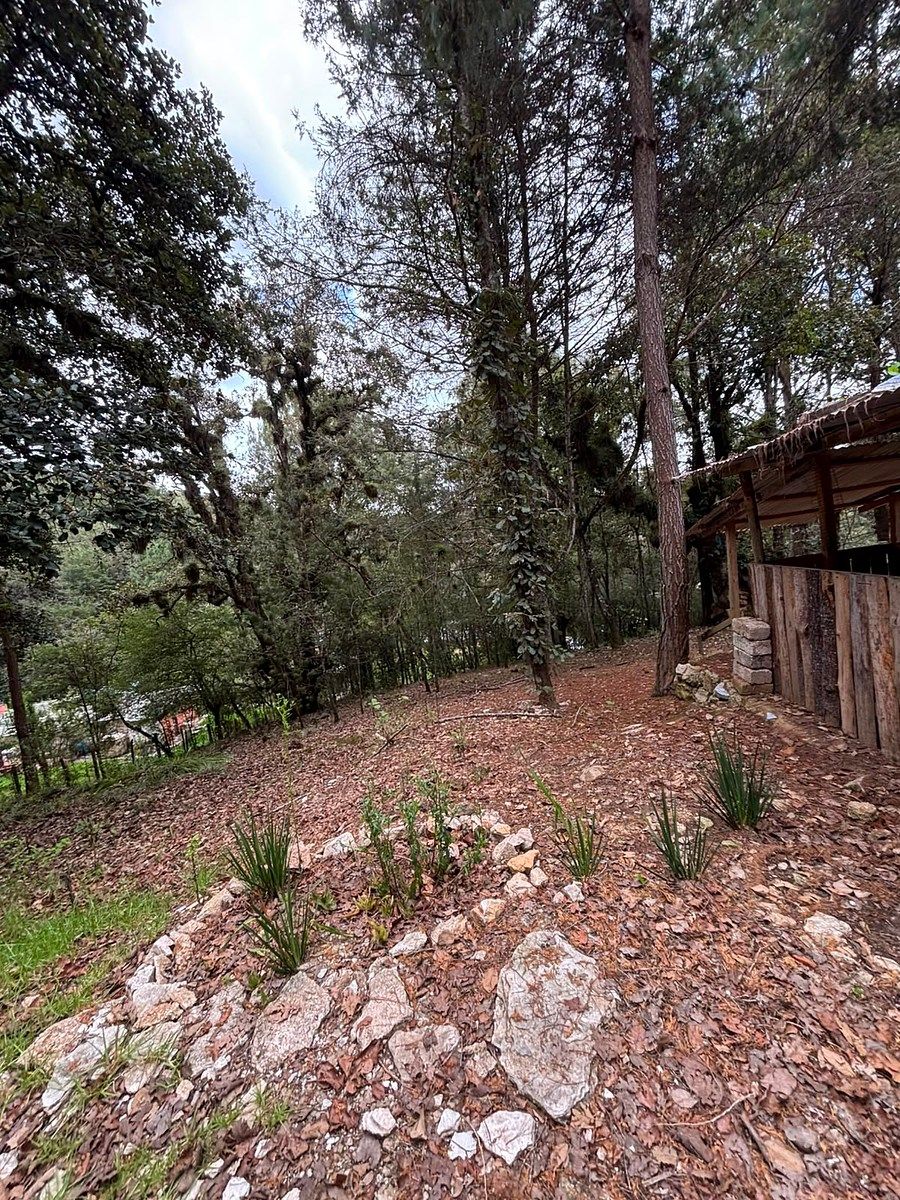 Terreno en Los Alcanfores, San Cristóbal de Las Casas, foto 6 de 7