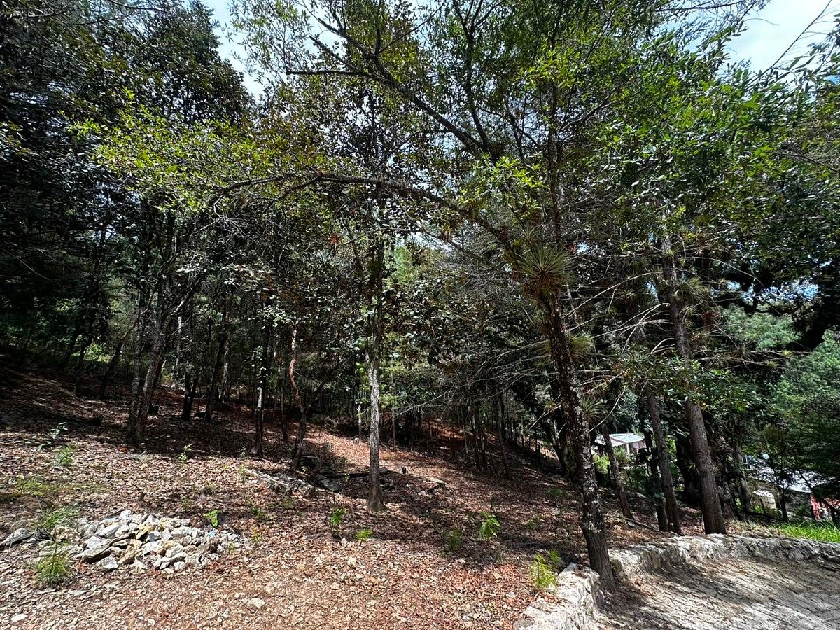 Lote em Los Alcanfores, San Cristóbal de Las Casas, foto 3 de 14