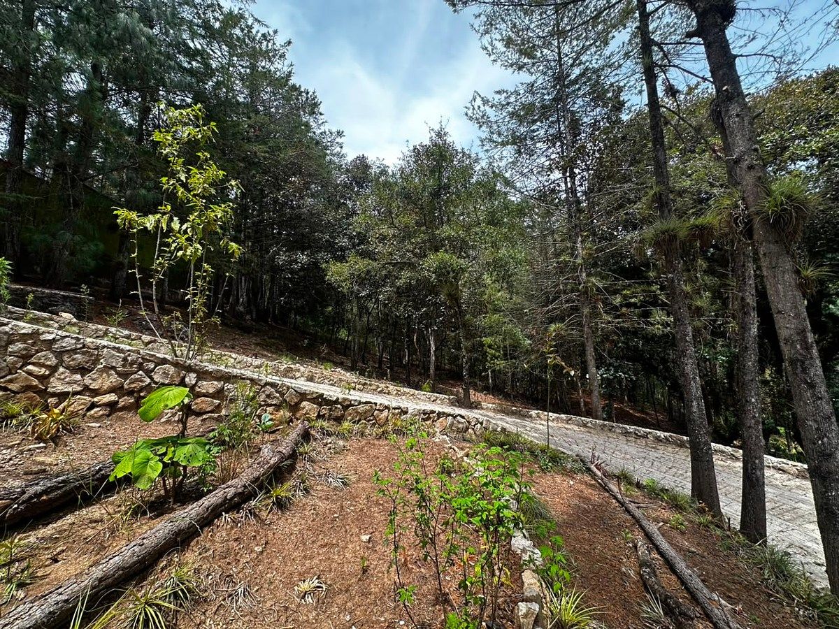 Lote em Los Alcanfores, San Cristóbal de Las Casas, foto 4 de 14