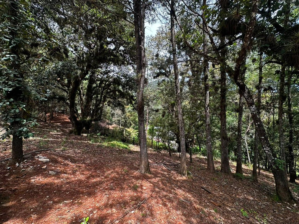 Lote em Los Alcanfores, San Cristóbal de Las Casas, foto 6 de 14