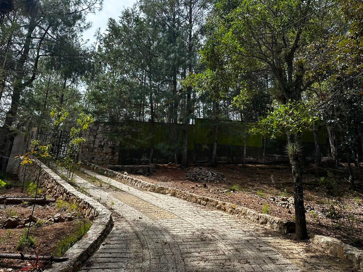 Lote em Los Alcanfores, San Cristóbal de Las Casas, foto 7 de 14