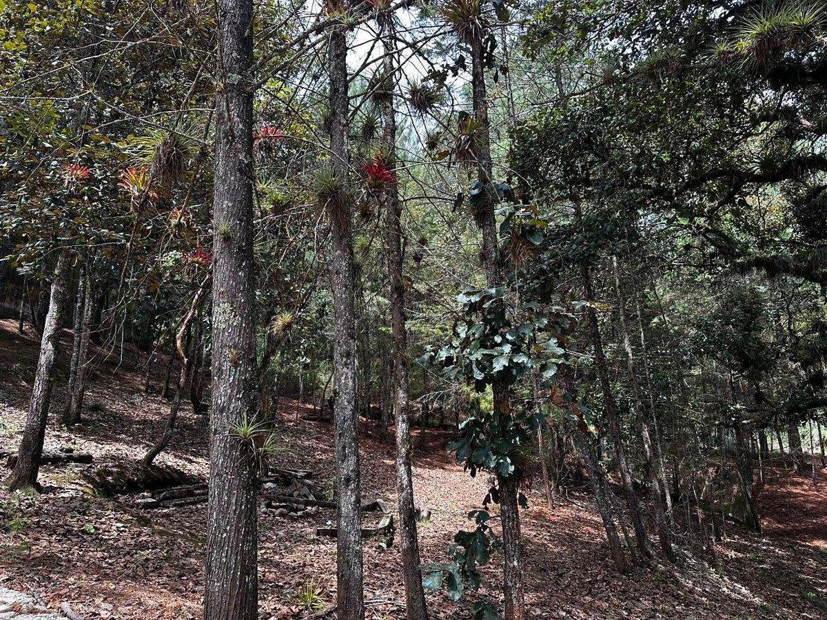 Lote em Los Alcanfores, San Cristóbal de Las Casas, foto 8 de 14