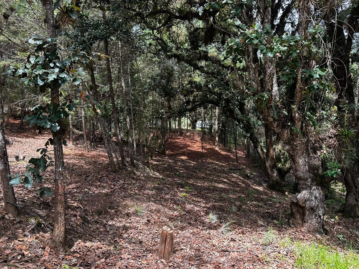 Lote em Los Alcanfores, San Cristóbal de Las Casas, foto 9 de 14