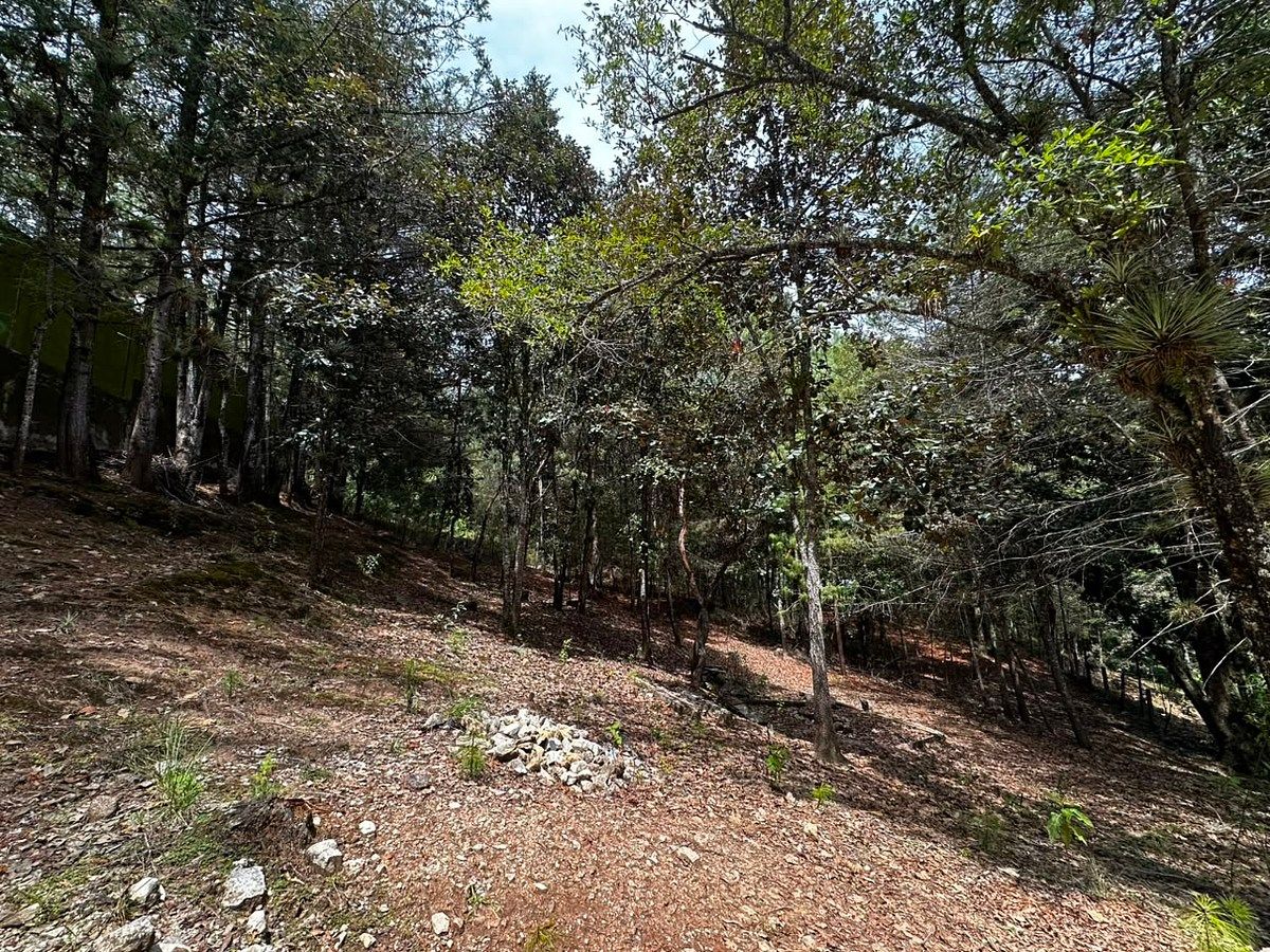 Lote em Los Alcanfores, San Cristóbal de Las Casas, foto 10 de 14