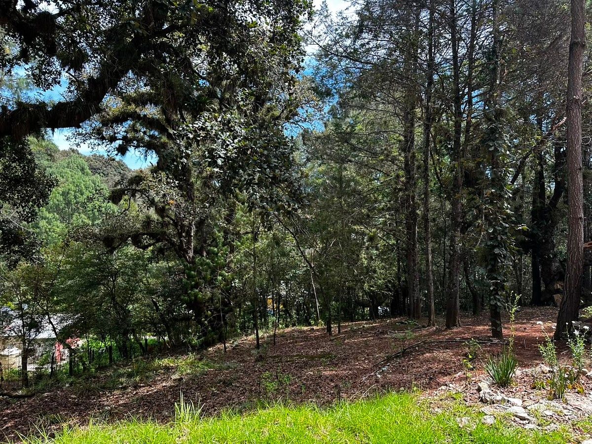 Lote em Los Alcanfores, San Cristóbal de Las Casas, foto 11 de 14