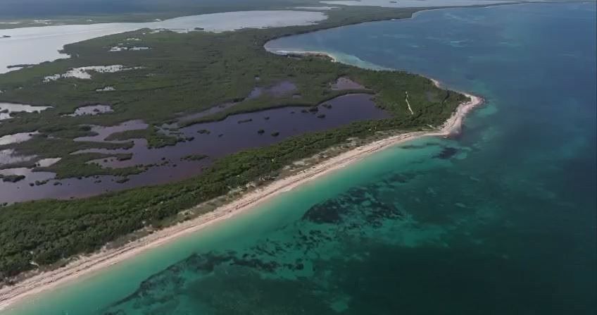 Se vende paradisiaco terreno a orilla del mar en Tulum, Q. Roo, foto 1 de 11