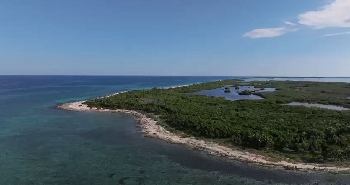 Terreno en Boca Paila, Tulum, foto 5 de 11