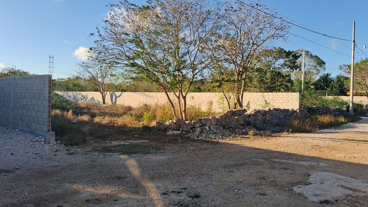 Terreno en Hunucmá, Hunucmá, foto 5 de 8