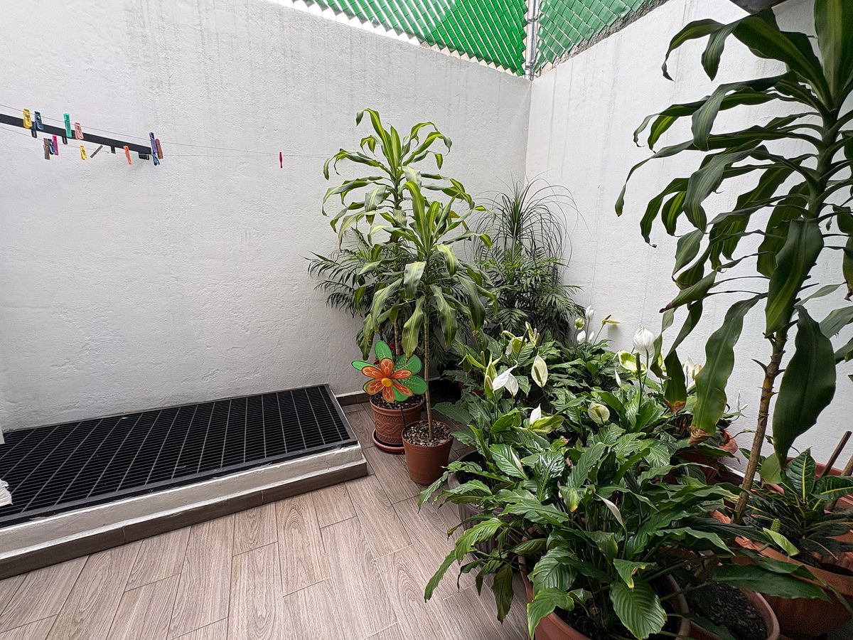 TERRAZA INTERIOR, foto 11 de 13