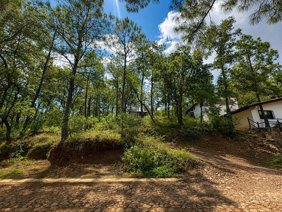 Terreno en Mazamitla, Mazamitla, foto 5 de 12