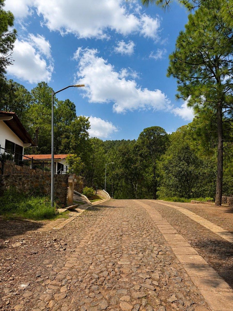 Terreno en Mazamitla, Mazamitla, foto 6 de 12