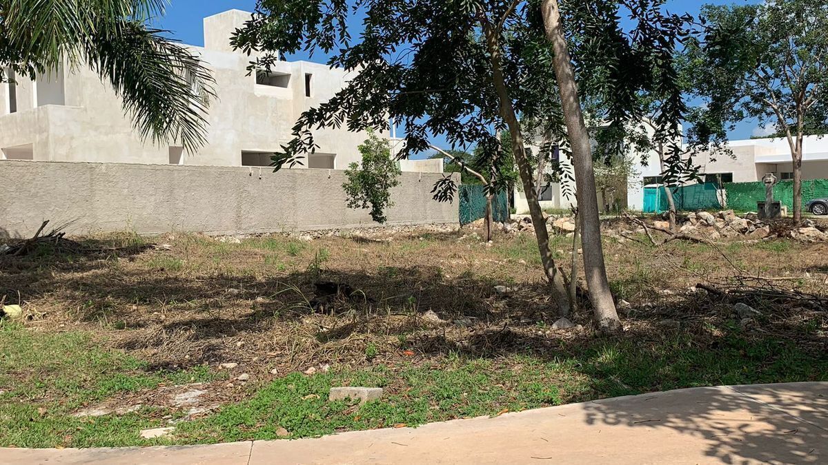 Terreno en Parque Natura, Mérida, foto 17 de 20