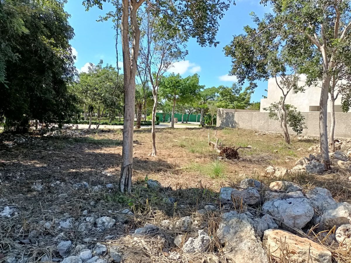 Terreno en Parque Natura, Mérida, foto 18 de 20