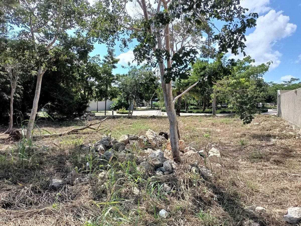 Terreno en Parque Natura, Mérida, foto 19 de 20