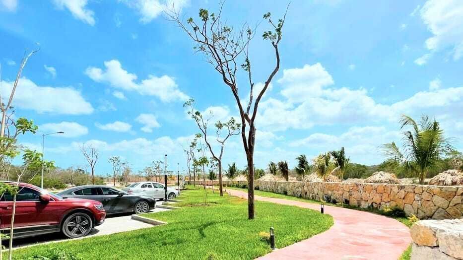 Terreno en Sierra Papacal, Mérida, foto 3 de 20